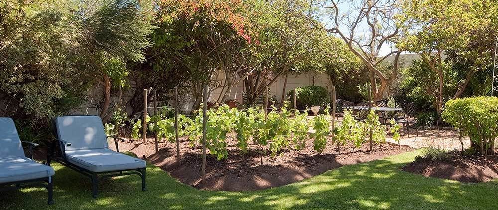 Brooklands House Otel Cape Town Dış mekan fotoğraf