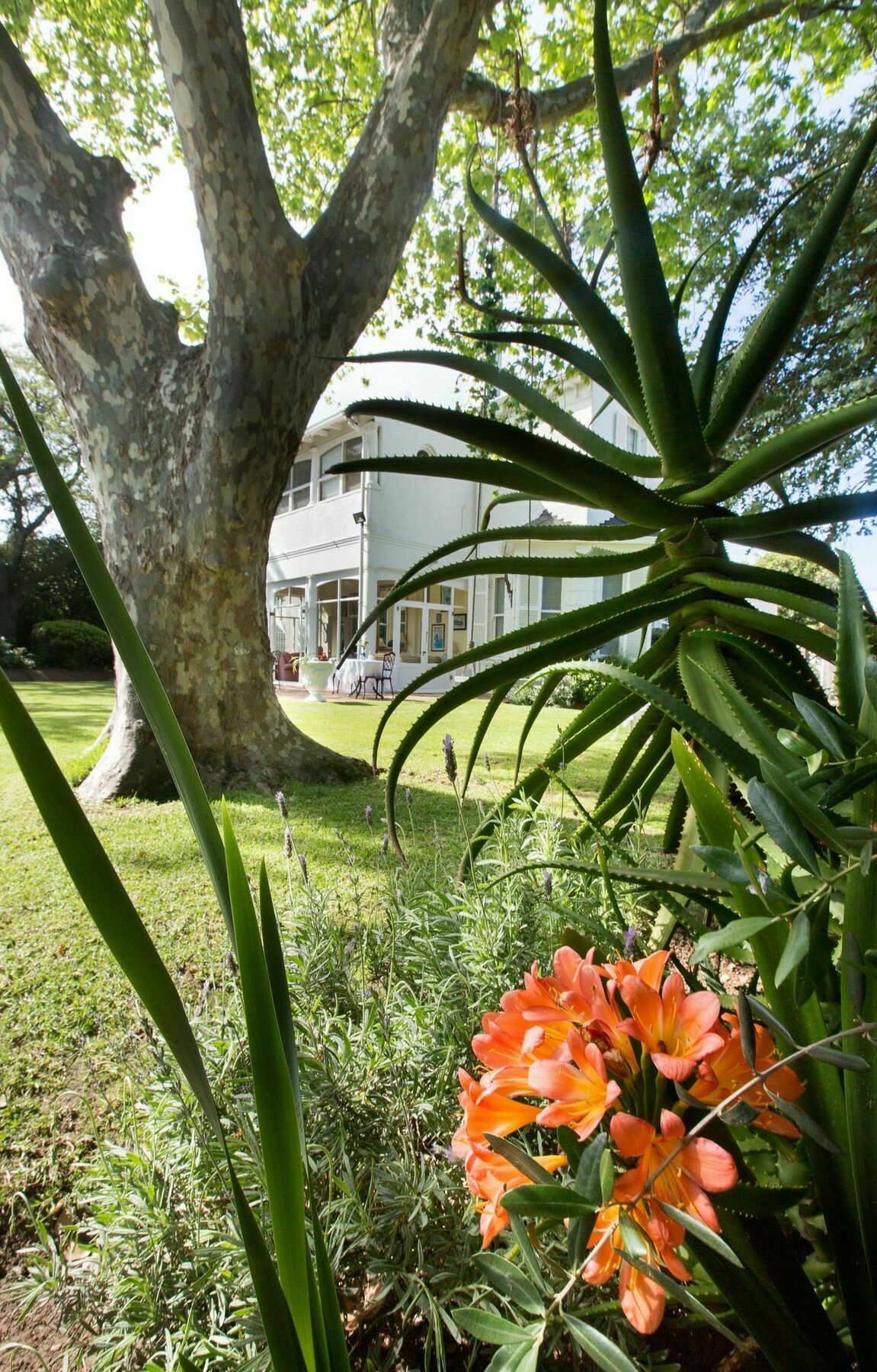 Brooklands House Otel Cape Town Dış mekan fotoğraf